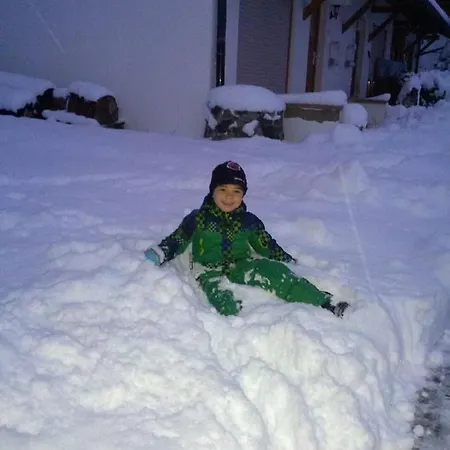 Apartment Alpenbrise