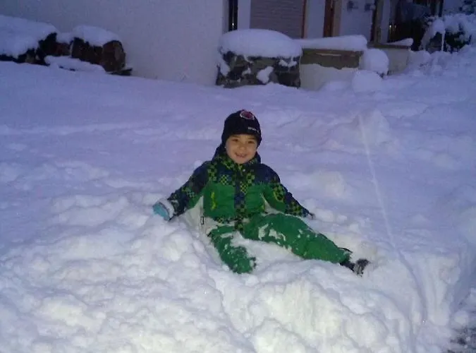 Apartman Alpenbrise